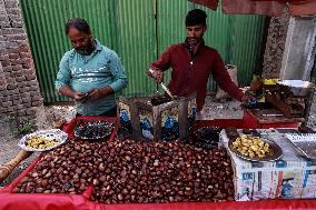 Daily Life In Kashmir