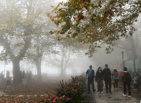 Lushan Mountain Sea Clouds