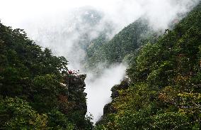 Lushan Mountain Sea Clouds