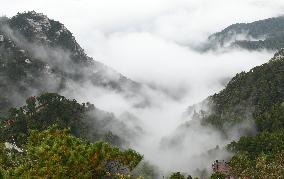 Lushan Mountain Sea Clouds