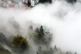 Lushan Mountain Sea Clouds