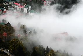 Lushan Mountain Sea Clouds