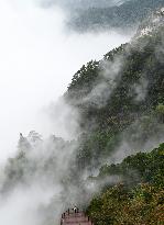 Lushan Mountain Sea Clouds