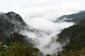 Lushan Mountain Sea Clouds