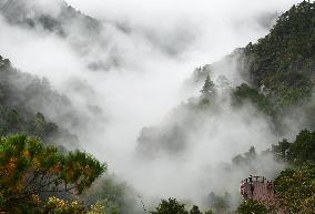 Lushan Mountain Sea Clouds