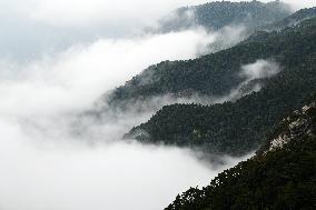 Lushan Mountain Sea Clouds