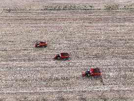 High Standard Farmland