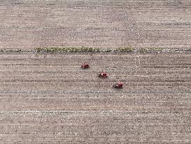 High Standard Farmland