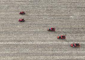 High Standard Farmland