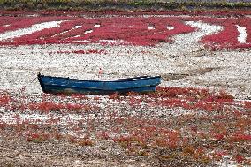 Red Sea Beach in Qingdao