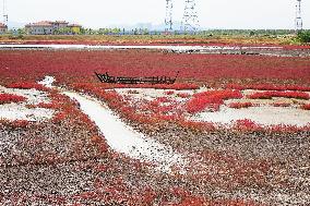 Red Sea Beach in Qingdao