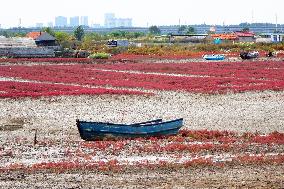 Red Sea Beach in Qingdao