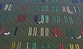 Seaweed farming in southwestern Japan