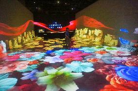 Three-dimensional Light Show in Shanghai