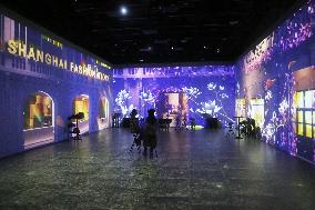 Three-dimensional Light Show in Shanghai