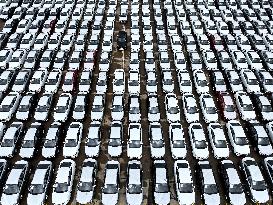 Lianyungang Port Vehicles Trade