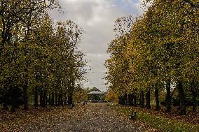 Park, Green Space, Council, Lake, Autumn. Autumnal, Sunshine, Trees, Shrubs, Bandstand