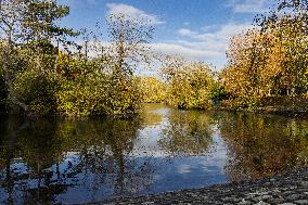 Park, Green Space, Council, Lake, Autumn. Autumnal, Sunshine, Trees, Shrubs, Reflections