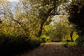 Park, Green Space, Council, Lake, Autumn. Autumnal, Sunshine, Trees, Shrubs