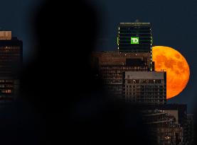 Full Moon Rises Over The Skyline In Toronto