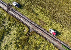 Rice Harvest in Taizhou