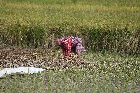 Daily Life In Nepal.