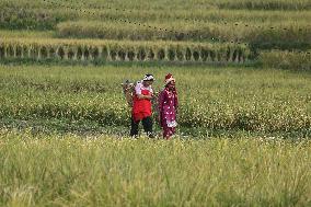 Daily Life In Nepal.