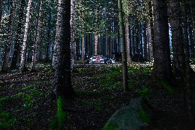 MOTORI - Rally - Fia World Rally Championship Wrc Central European Rally 2024