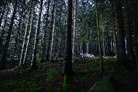 MOTORI - Rally - Fia World Rally Championship Wrc Central European Rally 2024