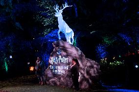 Harry Potter the Forbidden Forest experience -  Montauban