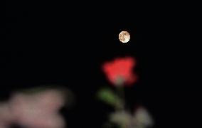 Super Moon Rises In Kashmir