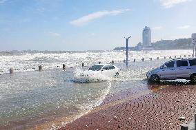 Yellow Storm Surge Warning