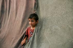 Displaced Palestinian In Deir al-Balah - Gaza