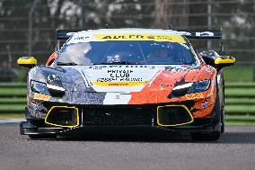 MOTORI - Ferrari Challenge - Ferrari challenge WORLD FINALS 2024