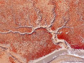 Qingdao Jiaozhou Bay Yanghe River Red Beach