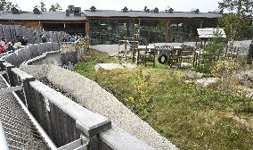 Giant Pandas at the Ähtäri Zoo