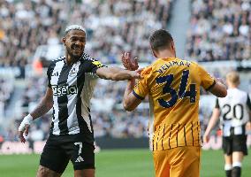 Newcastle United FC v Brighton & Hove Albion FC - Premier League