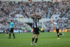 Newcastle United FC v Brighton & Hove Albion FC - Premier League