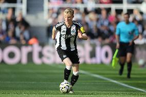 Newcastle United FC v Brighton & Hove Albion FC - Premier League