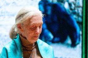 Jane Goodall at UNESCO - Paris