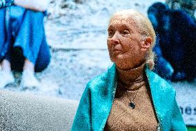 Jane Goodall at UNESCO - Paris