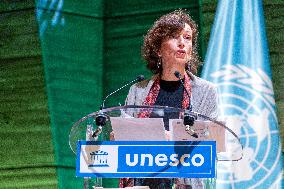 Jane Goodall at UNESCO - Paris