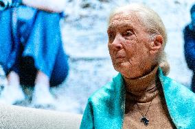 Jane Goodall at UNESCO - Paris