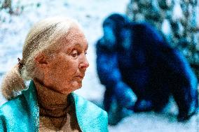 Jane Goodall at UNESCO - Paris