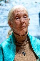 Jane Goodall at UNESCO - Paris