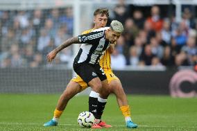 Newcastle United FC v Brighton & Hove Albion FC - Premier League