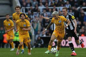 Newcastle United FC v Brighton & Hove Albion FC - Premier League