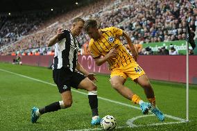 Newcastle United FC v Brighton & Hove Albion FC - Premier League