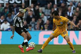 Newcastle United FC v Brighton & Hove Albion FC - Premier League