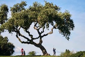 Estrella Damm N.A. Andalucia Masters 2024